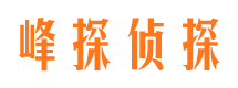 皮山侦探公司